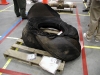 STS 107 Tire in Debris Hanger